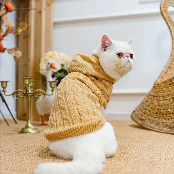 💫 Pupteck Cat Sweater Knitwear - Picture 1 of 11